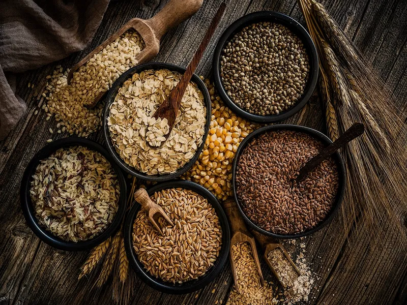 تصفیه خون