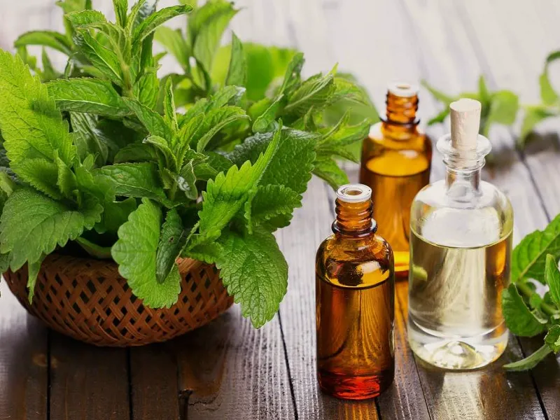 عرقیات مفید برای غلظت خون