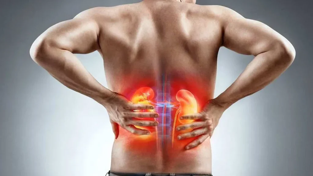 آیا مصرف استروئید در بدنسازی به کلیه‌ها آسیب می‌رساند؟