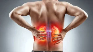 آیا مصرف استروئید در بدنسازی به کلیه‌ها آسیب می‌رساند؟