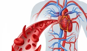کمبود هموگلوبین خون باعث چه بیماری می شود؟
